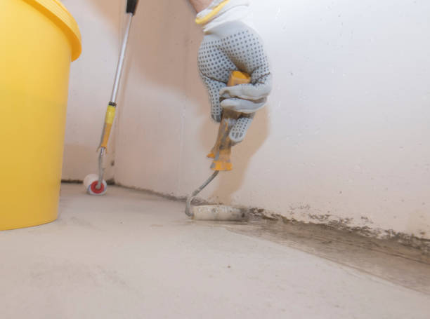 Best Residential Pest Control  in Springfield, MI